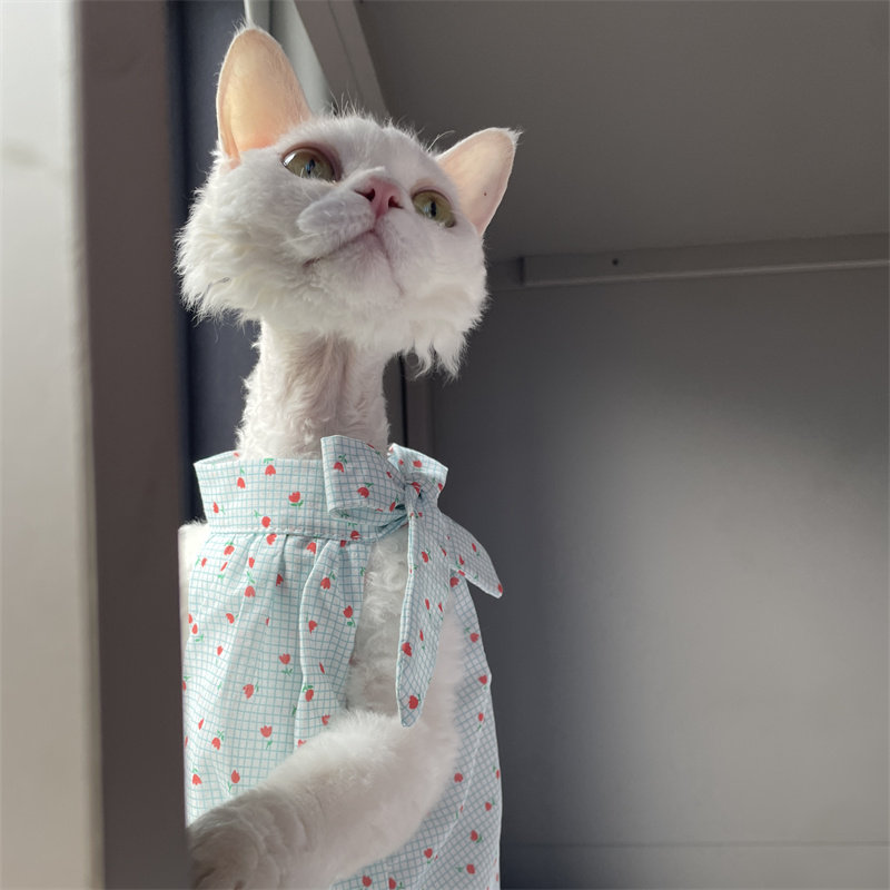 夏の猫服 スウィートライトブルー ダブルレイヤー 軽量コット - Summer Light Clothing のレビューと価格