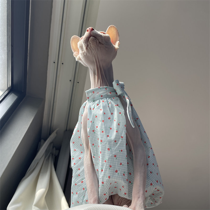 夏の猫服 スウィートライトブルー ダブルレイヤー 軽量コット - Summer Light Clothing のレビューと価格