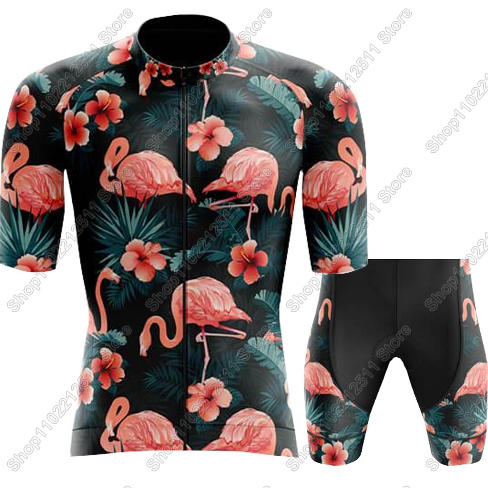 2025 フラミンゴサイクリングジャージセット自転車服男性夏 - Summer Clothing Sale Men のレビューと価格